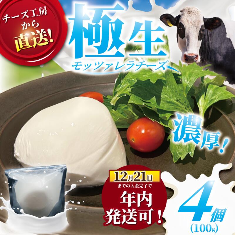 【ふるさと納税】 チーズ モッツァレラ チーズ 4個 極生 モッツァレラチーズ ちーず ナチュラルチーズ cheese フレッシュチーズ 手作り 自家製 新鮮 ミルク 新鮮 出来立て 直送 ビール おつまみ ピザ パスタ お酒のあて Aprotodo’S株式会社 RRAAP BREWERY 神奈川 湘南 藤沢
