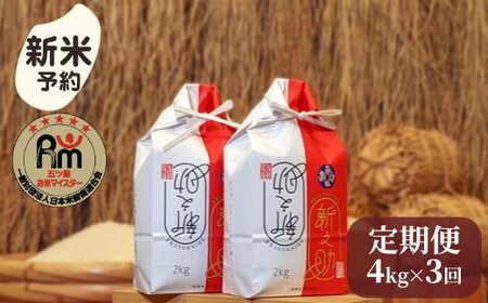 【新米予約】令和７年産「五つ星お米マイスター」の南魚沼産新之助　精米４kg（２kg×２個）×３回（毎月定期便）【2025年10月下旬より順次発送予定】