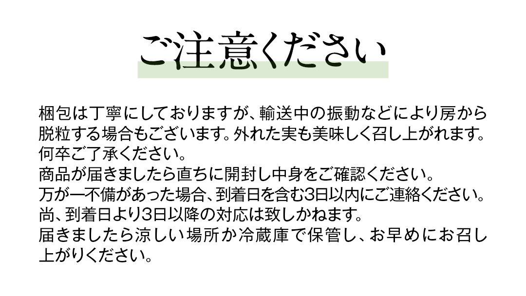 【最短3日発送】 ご家庭用 シャインマスカット1.2㎏【茨城県共通返礼品/石岡市】 数量限定 フルーツ 果物 マスカット ぶどう 葡萄 ブドウ 旬 国産 産地直送 [FB006sa]