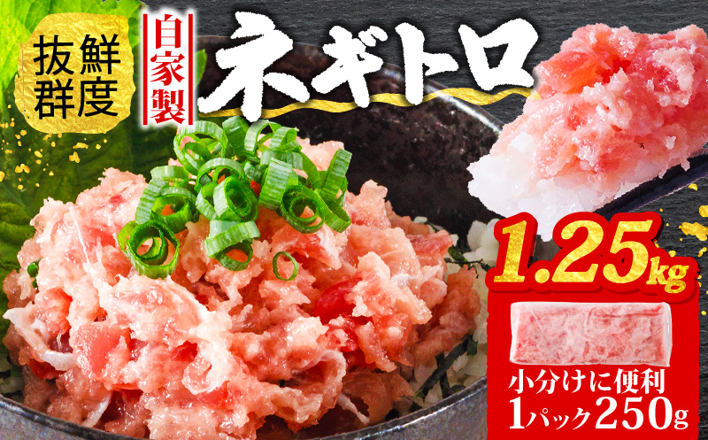 ss004 ネギトロ 250g×5パック  (1.25kg) 小分け | まぐろ マグロ 鮪 魚 魚介 魚介類 加工品 加工 惣菜 愛媛 松山 冷凍 冷凍便 冷凍発送 クール便 ねぎとろ まぐろ ねぎとろ