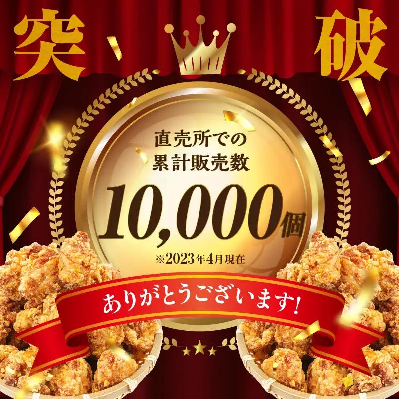 【3か月定期便】レンジでプロ味！からあげ３か月定期便鶏肉 肉 鶏モモ肉 肉惣菜 惣菜 お惣菜 調理済み 冷凍 個包装 使い勝手 普段使い お弁当 おかず 冷凍食品 冷凍からあげ 食品 小分け 便利 レ