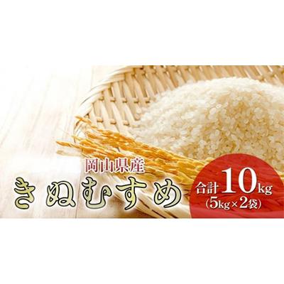ふるさと納税 高梁市 令和6年産 岡山県産 きぬむすめ 10kg(5kg×2袋)