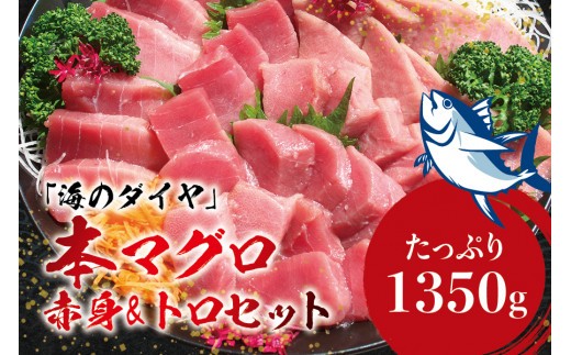 本マグロ（養殖）トロ＆赤身セット 1350g【1か月以内に発送】【配達指定日不可】 高級 クロマグロ  中トロ 中とろ まぐろ マグロ 鮪 刺身 赤身 柵 じゃばらまぐろ 本マグロ 本鮪【nks111B】