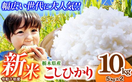 【先行予約】栃木県産コシヒカリ 5kg×2 (10kg) | 2025年 10月 11月 12月 秋 先行予約 新米 真岡市産 こしひかり コシヒカリ とちぎの星 銘柄 お米 米 おにぎり おむすび ふるさと納税 先行 予約 栃木県 真岡市 送料無料