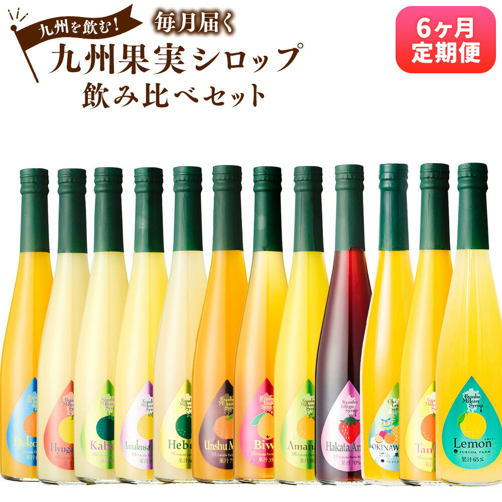 【ふるさと納税】【6ヶ月定期便】 九州を飲む！毎月届く九州果実シロップ飲み比べセット 合計9L 500ml×3本×6回 合計18本 レモン タンカン あまおう 甘夏 びわ カボス デコポン みかん ヘベス 晩柑 日向夏 フルーツ 果実 果汁 国産 送料無料