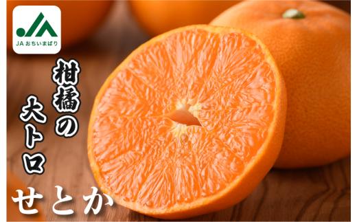 【ご家庭用】【先行予約】【数量限定】せとか レギュラー箱 ５ｋｇ【KC00770】 とろけるやわらかな果肉が特徴 みかん 柑橘 せとか