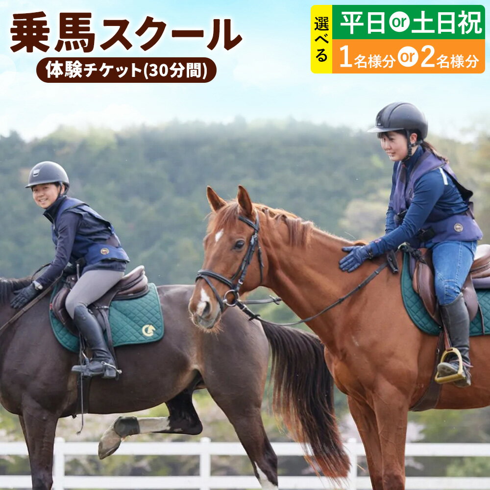 【ふるさと納税】乗馬 スクール 体験 チケット 30分 平日 土日祝 1名様分 2名様分 クレイン栃木 《30日以内に出荷予定(土日祝除く)》栃木県 野木町 馬 乗馬体験 チケット 初心者 OK