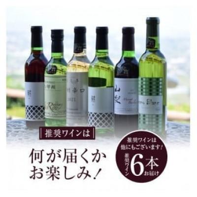 ふるさと納税 甲州市 勝沼ぶどうの丘推奨ワイン シーズンオリジナル6本セット F-605 |  | 01