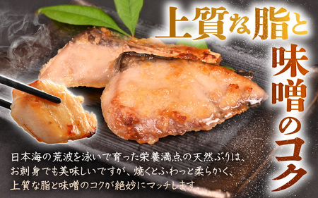 天然ぶり西京漬け 計6切 (約90g×2切入)×3パック ブリ 鰤 [m36-a028]