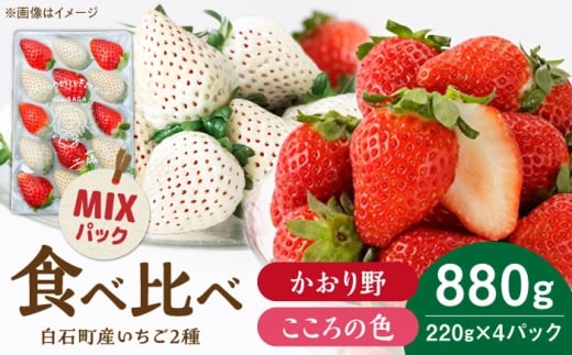 【2026年1月以降発送】こころの色×かおり野ミックス 紅白いちごセット 計880g（220g×4パック） 【Strawberryfarm-K】  紅白いちご 希少 いちご 果物 フルーツ かおり野 セット  佐賀県 白石 [IBJ029]