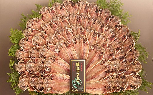 藤文の「真あじ大満足セット」 真あじ 真アジ 鯵 50枚 干物 ひもの 冷凍 西伊豆 伊豆 ギフト お歳暮 お中元