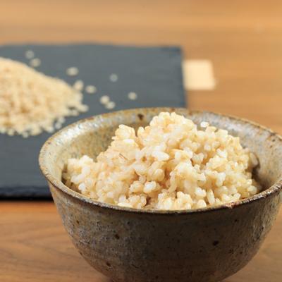 ふるさと納税 四万十市 【令和7年産新米・早期受付】四万十清流の自然米　玄米5kg(コシヒカリ)【2025年9月より順次配送】 |  | 02