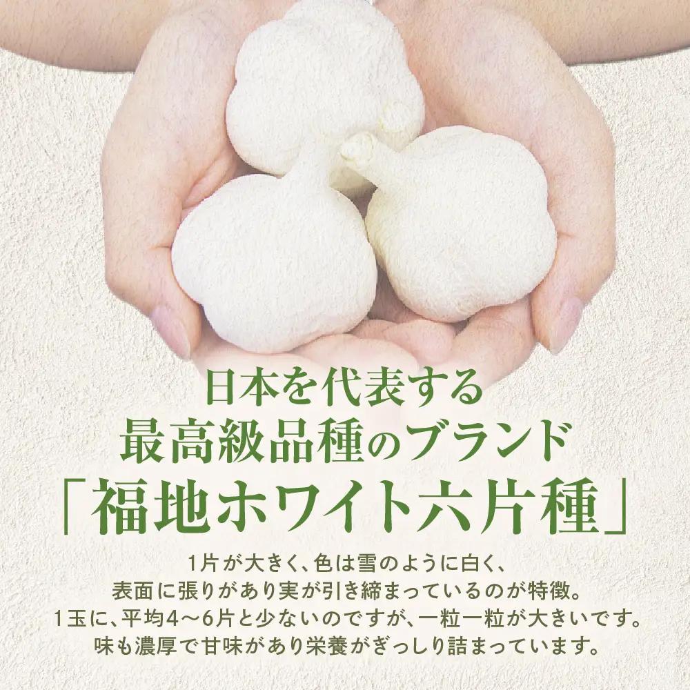 青森県産にんにく 使用！ 七味にんにく 75g×２本