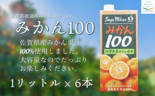 
            サンレイ「みかん100」1リットル紙パック×6本
          