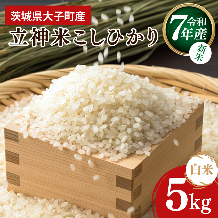 【10月より順次発送予定】令和7年産 立神米こしひかり（白米）5kg | 茨城県 大子町 コシヒカリ 米 コンテスト 受賞  生産者 大子産米 産地直送 もちもち グランプリ（BT067）