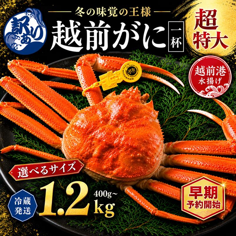 【ふるさと納税】＼早期予約受付開始／越前がに (オス) ずわいがに 400g〜1.2kg以上 1杯 正規 訳あり 選択 / 送料 無料 福井県 越前市 武生 かに カニ 蟹 冷蔵 越前かに 越前ガニ 越前カニ ズワイガニ 雄 不揃い 傷 足折れ 発送時期が選べる