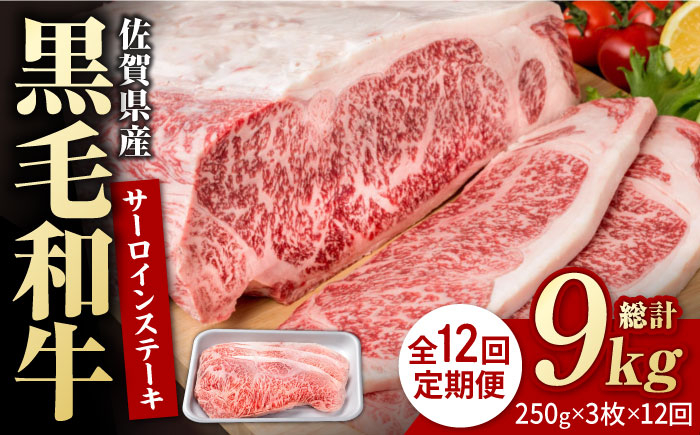 
            【12回定期便】佐賀県産 黒毛和牛 贅沢 サーロインステーキ 250g×3枚（計750g）【いろは精肉店】佐賀県産 佐賀産和牛 牛肉 国産 肉 和牛 サーロイン ステーキ さーろいん すてーき 冷凍 白石町 九州 定期便 人気 高評価 九州 佐賀県 白石町 [IAG092]
          