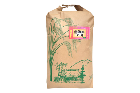 【玄米20kg⇒七分搗き米】筑波山麓厳選米【特A】令和7年産コシヒカリ（恋瀬姫の舞） B07-030