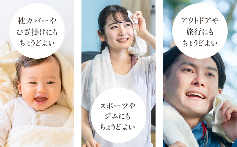 【スピード発送】ラージフェイスタオル 6枚セット（グレー） 【フェイスタオル 以上 バスタオル 未満 泉州タオル 吸水 普段使い シンプル 日用品 たおる】 G2616