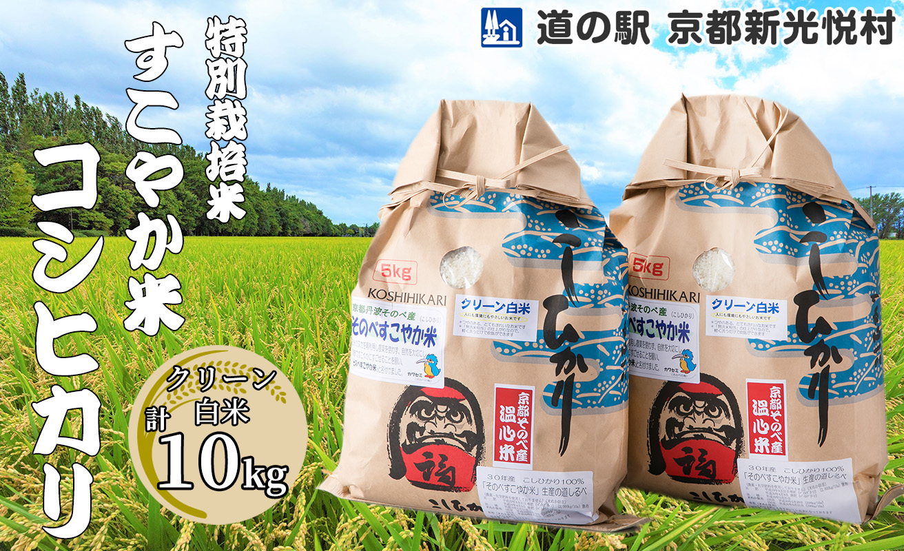 027N65 特別栽培米すこやか米コシヒカリ クリーン白米5kg×2[高島屋選定品］
