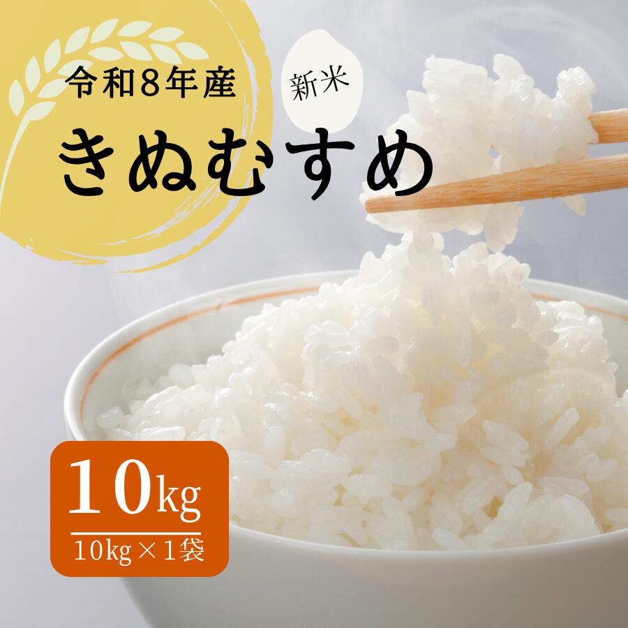 【ふるさと納税】令和8年産 しまね川本 きぬむすめ 10kg 島根県 川本町産 老舗米屋 厳選 藤屋