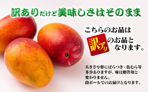 【先行予約】2027年発送【マンゴー専門 山下果樹園】ご家庭用完熟マンゴー 1kg 宮崎県西都産 生産者直送＜61-1a＞