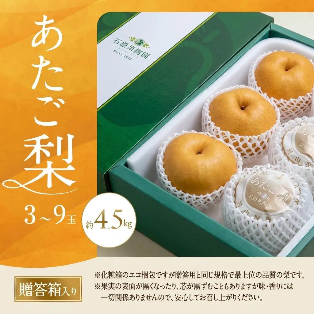 梨 2026年 先行予約 あたご梨 3～9玉 合計約4.5kg 贈答箱 岡山県産 梨