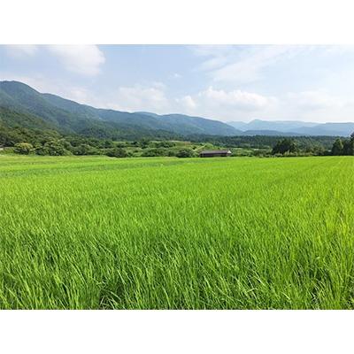 ふるさと納税 佐渡市 【令和6年産】佐渡高千産コシヒカリとご飯のお供セット |  | 03