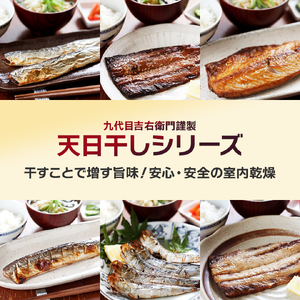 干物 ＆ レンチン おまかせ 福袋セット 干物