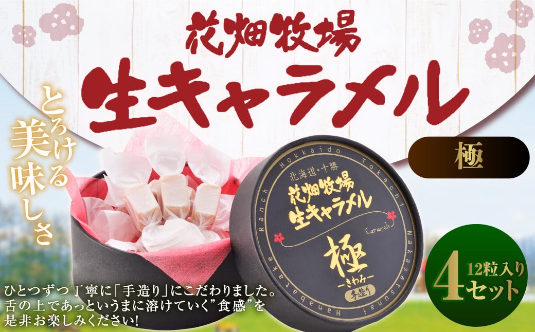 
            花畑牧場 生キャラメル （極 -きわみ-） 12粒入り×4セット キャラメル お菓子 おやつ マヌカハニー マヌカはちみつ 冷蔵 [002-0087]
          