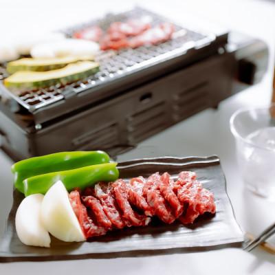 ふるさと納税 水上村 【桜屋】馬肉焼肉用500gカット済(水上村)