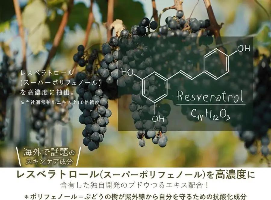 美容乳液 100ml 2本セット オーガニック認証 エイジングケア 高濃度 レスベラトロール 天然由来100％ 無添加 敏感肌 目元 シワ 紫外線ケア 肌キメ シェアコスメ メンズ にも 約8か月分 