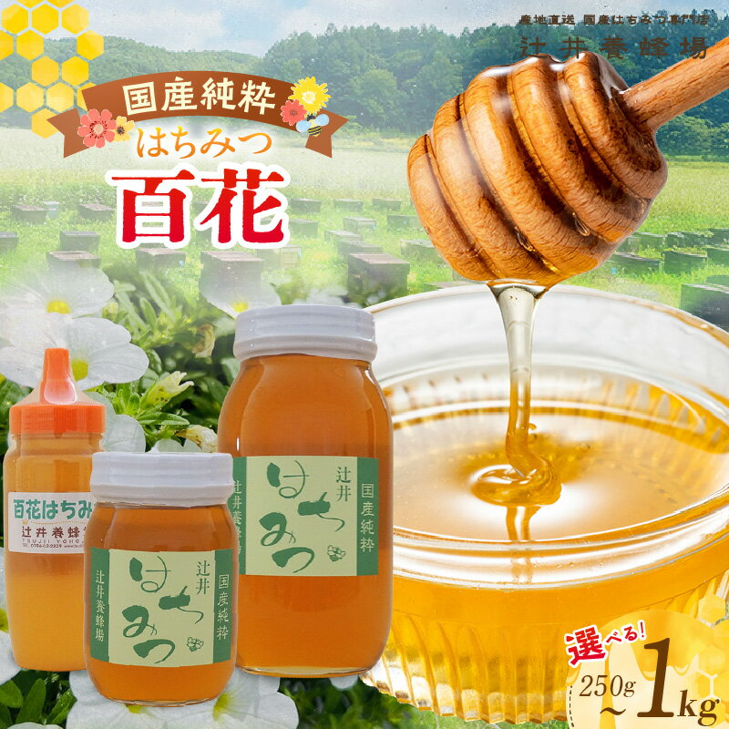【ふるさと納税】国産純粋 百花はちみつ【選べる内容量 250g〜1kg】 国産 純粋 はちみつ ハチミツ 蜂蜜 百花 辻井養蜂場 国産純粋はちみつ 日本産 健康食品 みつばち 兵庫県 香美町 返礼品 81-02 81-05 81-08 送料無料
