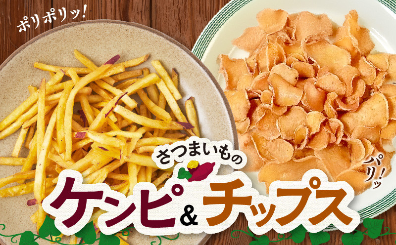 
            040-17 さつまいものケンピ&チップス セット
          