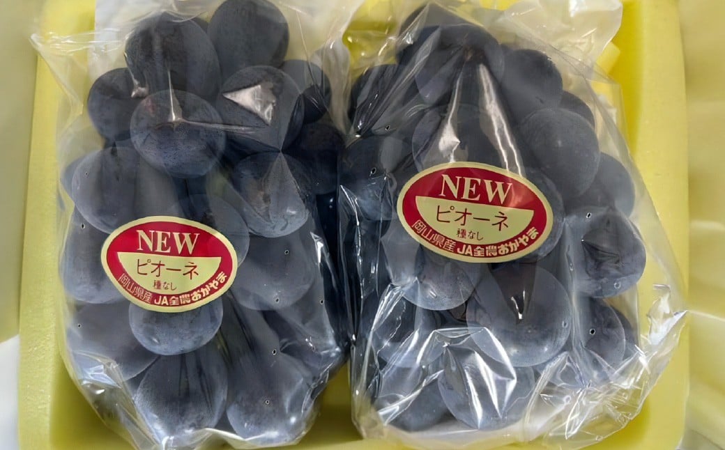 岡山県産 ニューピオーネ 2房 （1房600g以上） 化粧箱入り 【2026年8月下旬-10月上旬迄発送予定】 ／ 葡萄 ぶどう 果物 果実 フルーツ 種なし 岡山県 美咲町 冷蔵