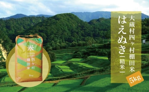 大蔵村四ヶ村棚田米　はえぬき（精米）5kg