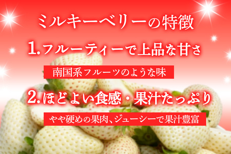 [先行予約] 日光産 プレミアムいちご「スカイベリー＆ミルキーベリー」各1パック 計約600g [2026年1月中旬から順次発送]｜ミルキーベリー スカイベリー いちご イチゴ 苺 果物 日光産 栃木