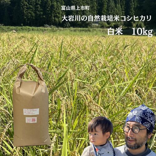 【ふるさと納税】米 大岩川の自然栽培米コシヒカリ 白米 10kg [有吉自然農場 富山県 上市町 32280212-r6] お米 コメ ご飯 ごはん こしひかり 自然栽培米 富山県産