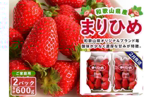 【ご家庭用（簡易包装）】和歌山県産まりひめ　１箱（２パック入り）【2026年2月お届け】【MG60】