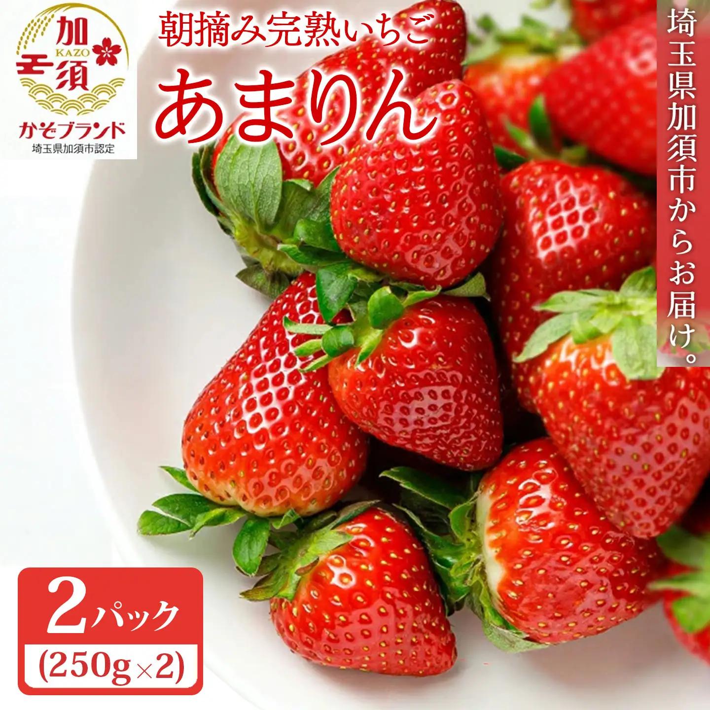 【先行予約】いちご あまりん 加須市産 250g入り×2パック 苺　あまりん