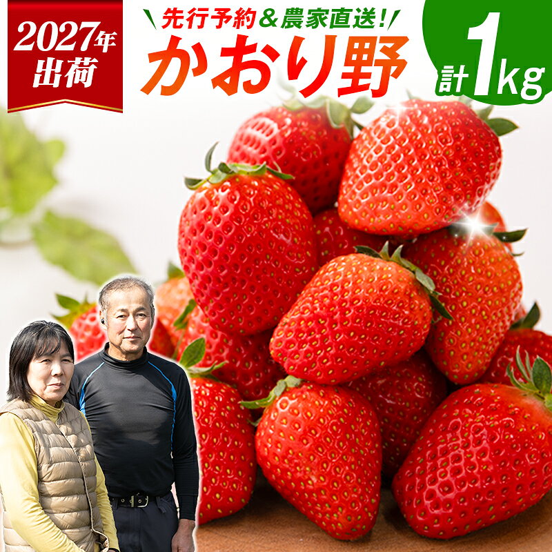 【ふるさと納税】＜2027年出荷＞先行予約 宮崎県産 いちご「かおり野」計1kg（250g×4パック）フルーツ 期間限定 デザート ご褒美