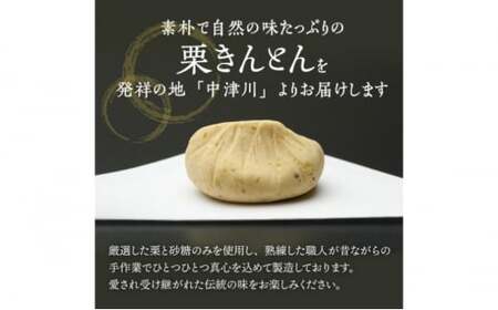 中津川銘菓：栗きんとん8個箱入り[秋季限定] 御菓子処 信玄堂 【11月お届け】 F4N-1933