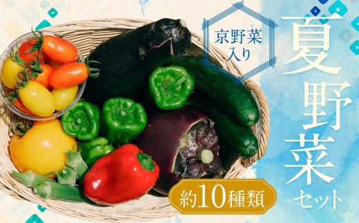 【虹色Farm】【先行予約/2024年7~8月発送】夏野菜セット（約10種類）