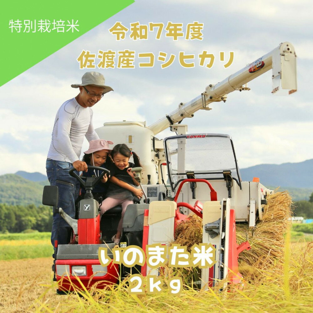 【ふるさと納税】令和7年産コシヒカリ　精米（無洗米）2kg　農家直送　佐渡市いのまた米 | 佐渡市 コシヒカリ 精米 無洗米 新潟県産 お米 ご飯 こだわり 美味しい 人気 おすすめ 送料無料