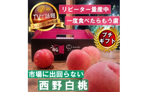 2027年発送先行受付【市場に出回らないレアな西野白桃】人気品種指定ギフト5年連続TV出演ブランド【1465267】