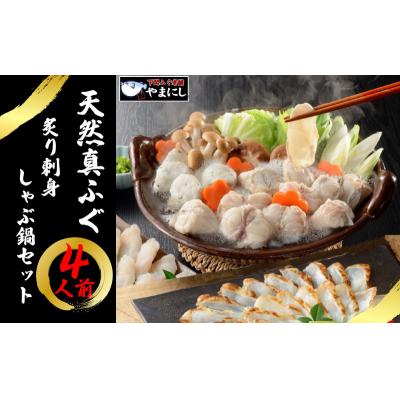 ふるさと納税 下関市 ふぐ 鍋 刺身 炙り たたき しゃぶしゃぶ つみれ 冷凍 まふぐ てっさ てっちり 下関 AU402