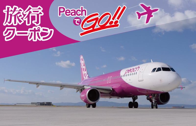 PeachでGo！！泉佐野市宿泊 旅行クーポン（30,000円分）【宿泊 旅行 ホテル トラベル 大阪 泉佐野 大阪府 泉佐野市】