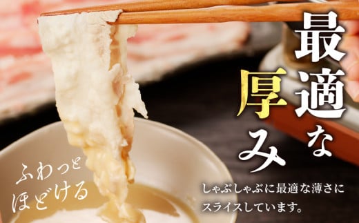 宮崎県産豚バラしゃぶしゃぶ用(計1kg) 肉 豚 豚肉 おかず 国産_T009-0133