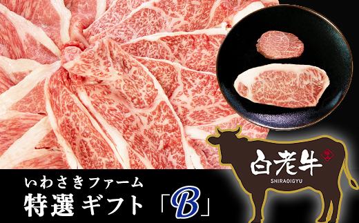 いわさきファーム白老牛　特選ギフト「Ｂ」セット
