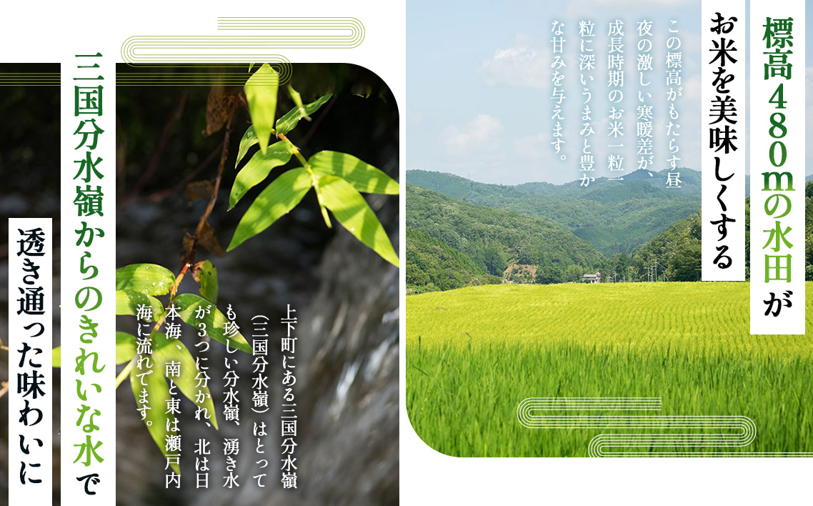 No.1168 「お米のめん」セット 酵素で培った四八米 白米麺　グルテンフリー 1kg